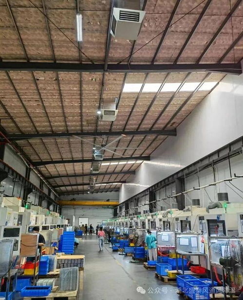 夏至已至，厂房车间降温通风方案指南请查收——沪通全球助您畅享清凉夏日